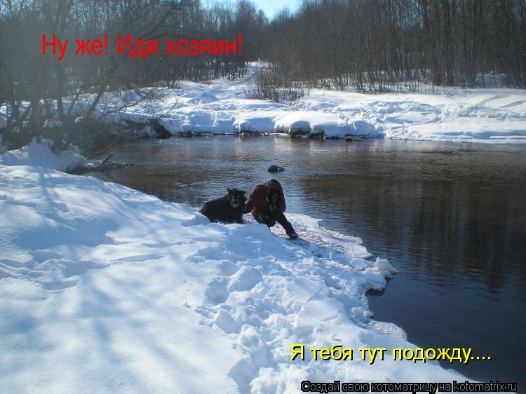 Ну же! Иди хозяин! Я тебя тут подожду....... Котоматрица: Ну же! Иди хозяин! Я тебя тут подожду....