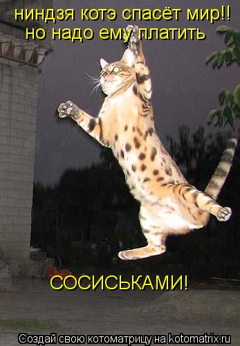 ниндзя котэ спасёт мир!! но надо ему платить СОСИСЬКАМИ!... Котоматрица: ниндзя котэ спасёт мир!! но надо ему платить СОСИСЬКАМИ!