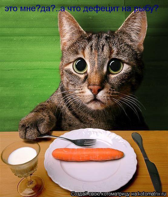 это мне?да?..а что дефецит на рыбу?... Котоматрица: это мне?да?..а что дефецит на рыбу?