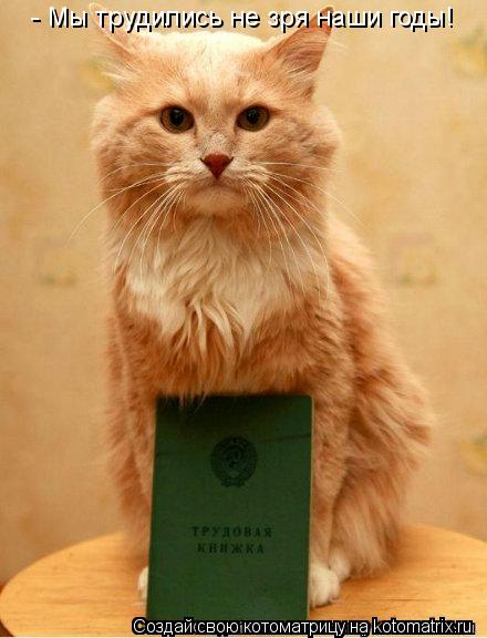 - Мы трудились не зря наши годы! - Мы трудились не зря наши годы!... Котоматрица: - Мы трудились не зря наши годы! - Мы трудились не зря наши годы!