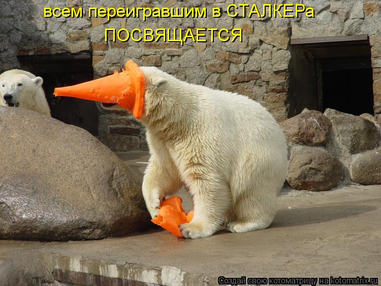 всем переигравшим в СТАЛКЕРа ПОСВЯЩАЕТСЯ... Котоматрица: всем переигравшим в СТАЛКЕРа ПОСВЯЩАЕТСЯ