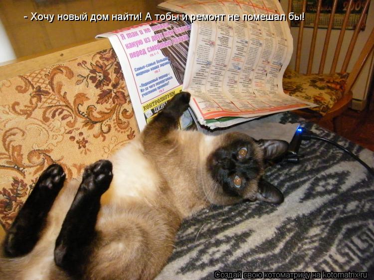 - Хочу новый дом найти! А тобы и ремонт не помешал бы!... Котоматрица: - Хочу новый дом найти! А тобы и ремонт не помешал бы!