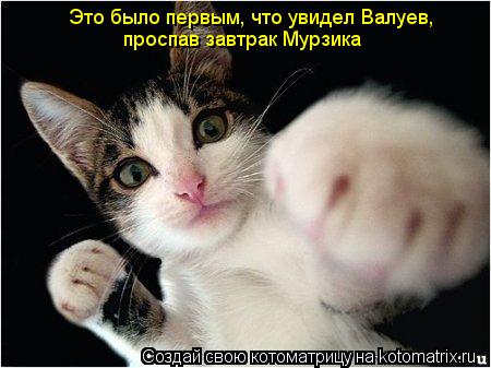Это было первым, что увидел Валуев, проспав завтрак Мурзика... Котоматрица: Это было первым, что увидел Валуев, проспав завтрак Мурзика