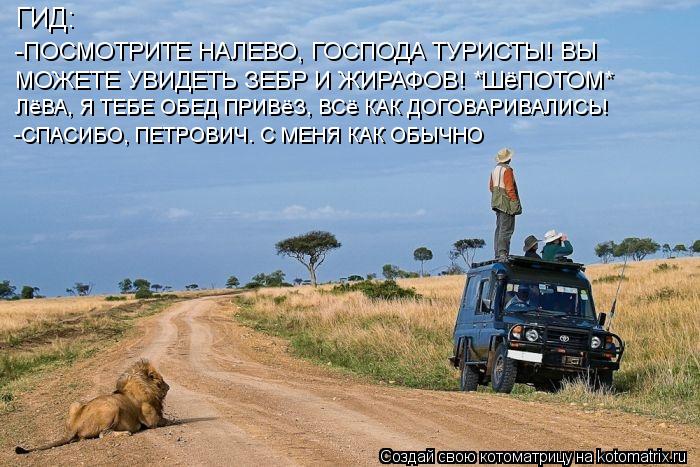 ГИД: -ПОСМОТРИТЕ НАЛЕВО, ГОСПОДА ТУРИСТЫ! ВЫ МОЖЕТЕ УВИДЕТЬ ЗЕБР И ЖИРАФОВ! *ШёПОТОМ* ЛёВА, Я ТЕБЕ ... Котоматрица: ГИД: -ПОСМОТРИТЕ НАЛЕВО, ГОСПОДА ТУРИСТЫ! ВЫ МОЖЕТЕ УВИДЕТЬ ЗЕБР И ЖИРАФОВ! *ШёПОТОМ* ЛёВА, Я ТЕБЕ ОБЕД ПРИВёЗ, ВСё КАК ДОГОВАРИВАЛИСЬ! -СПАС