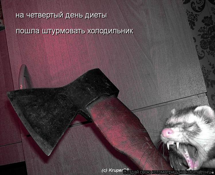 на четвертый день диеты пошла штурмовать холодильник... Котоматрица: на четвертый день диеты пошла штурмовать холодильник