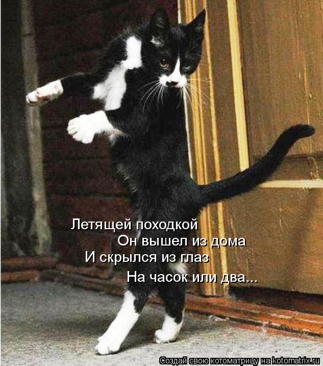 Летящей походкой Он вышел из дома И скрылся из глаз На часок или два...... Котоматрица: Летящей походкой Он вышел из дома И скрылся из глаз На часок или два...