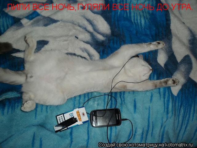 ПИЛИ ВСЕ НОЧЬ,ГУЛЯЛИ ВСЕ НОЧЬ ДО УТРА.... Котоматрица: ПИЛИ ВСЕ НОЧЬ,ГУЛЯЛИ ВСЕ НОЧЬ ДО УТРА.