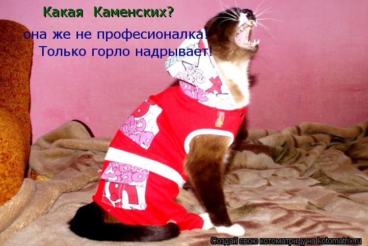 Какая Каменских? она же не професионалка! Только горло надрывает!... Котоматрица: Какая Каменских? она же не професионалка! Только горло надрывает!