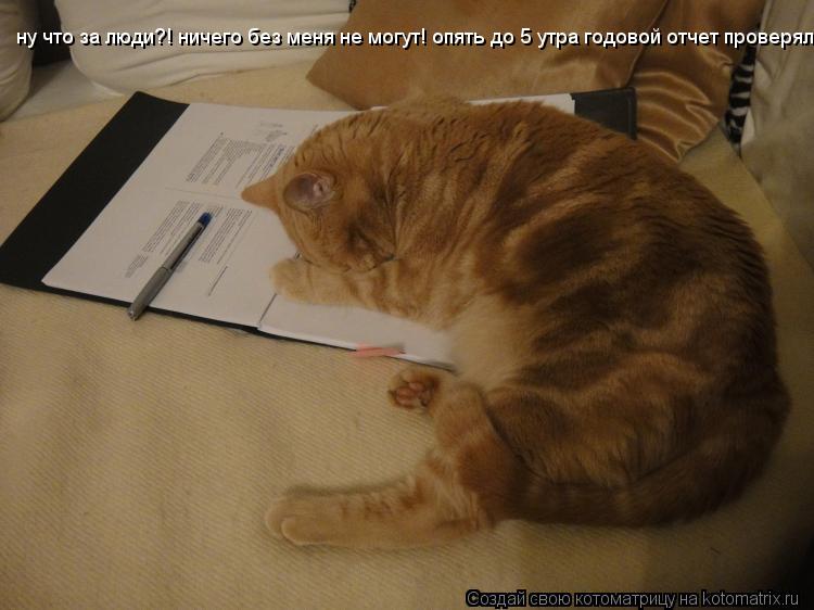 ну что за люди?! ничего без меня не могут! опять до 5 утра годовой отчет проверял... Котоматрица: ну что за люди?! ничего без меня не могут! опять до 5 утра годовой отчет проверял