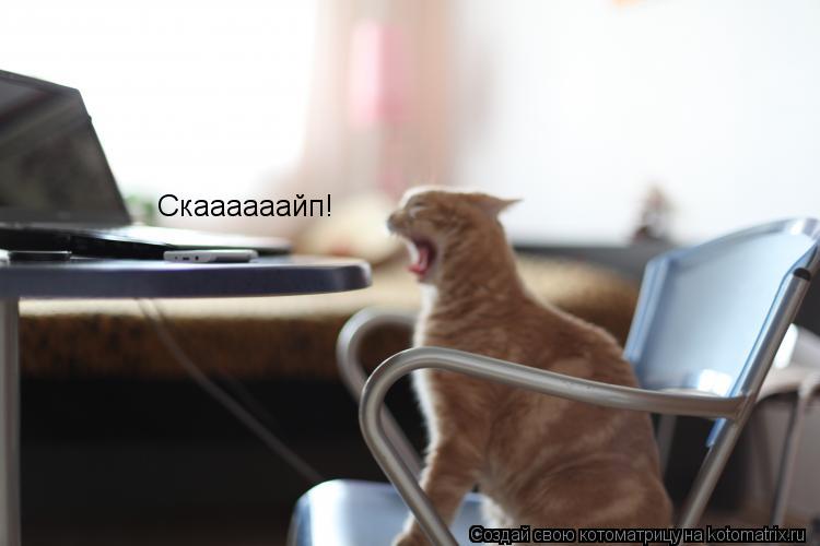 Скаааааайп!... Котоматрица: Скаааааайп!