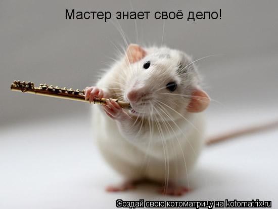 Мастер знает своё дело!... Котоматрица: Мастер знает своё дело!