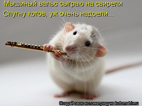 Мышиный вальс сыграю на свирели Спугну котов, уж очень надоели...... Котоматрица: Мышиный вальс сыграю на свирели Спугну котов, уж очень надоели...