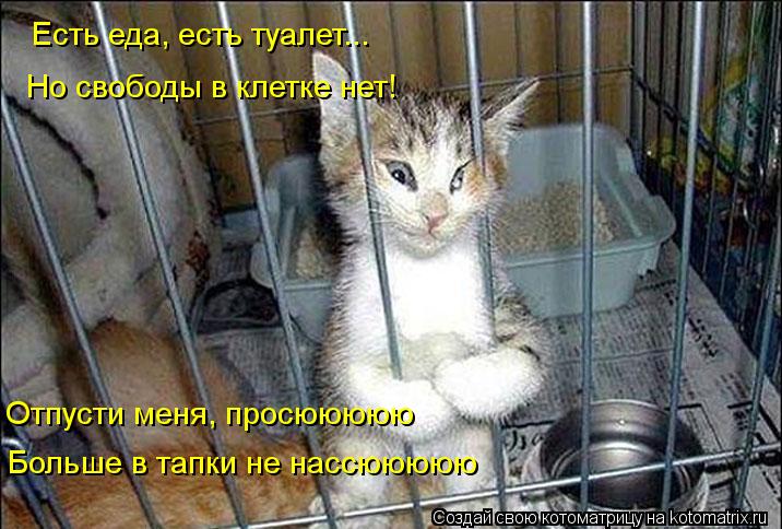 Есть еда, есть туалет... Но свободы в клетке нет! Отпусти меня, просююююю Больше в тапки не нассююююю... Котоматрица: Есть еда, есть туалет... Но свободы в клетке нет! Отпусти меня, просююююю Больше в тапки не нассююююю