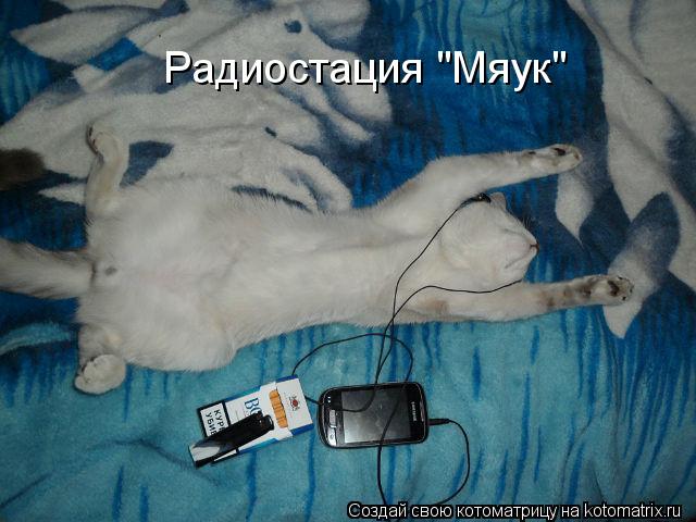 Радиостация "Мяук"... Котоматрица: Радиостация "Мяук"