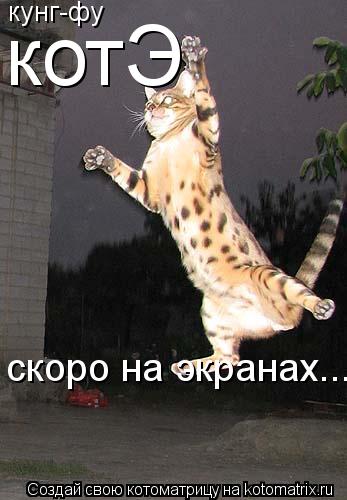 кунг-фу котЭ скоро на экранах...... Котоматрица: кунг-фу котЭ скоро на экранах...