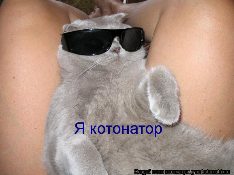Я котонатор... Котоматрица: Я котонатор