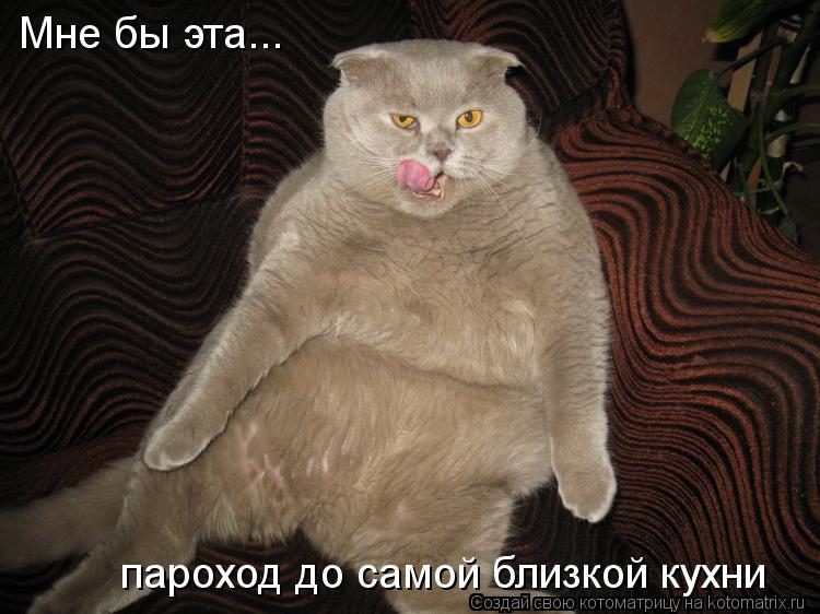Мне бы эта... пароход до самой близкой кухни... Котоматрица: Мне бы эта... пароход до самой близкой кухни