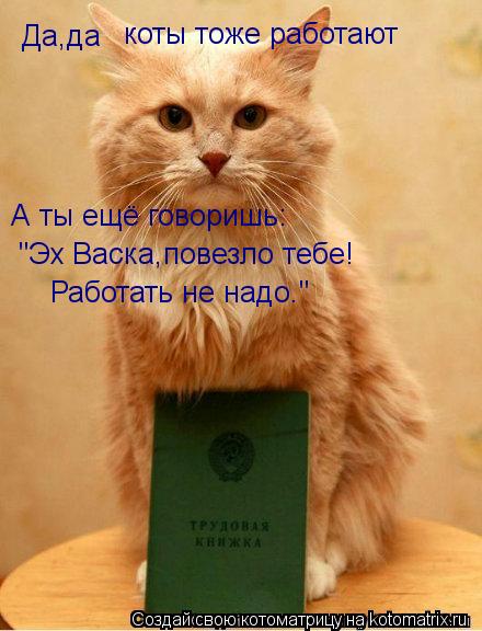 Да,да коты тоже работают А ты ещё говоришь: "Эх Васка,повезло тебе! Работать не надо."... Котоматрица: Да,да коты тоже работают А ты ещё говоришь: "Эх Васка,повезло тебе! Работать не надо."