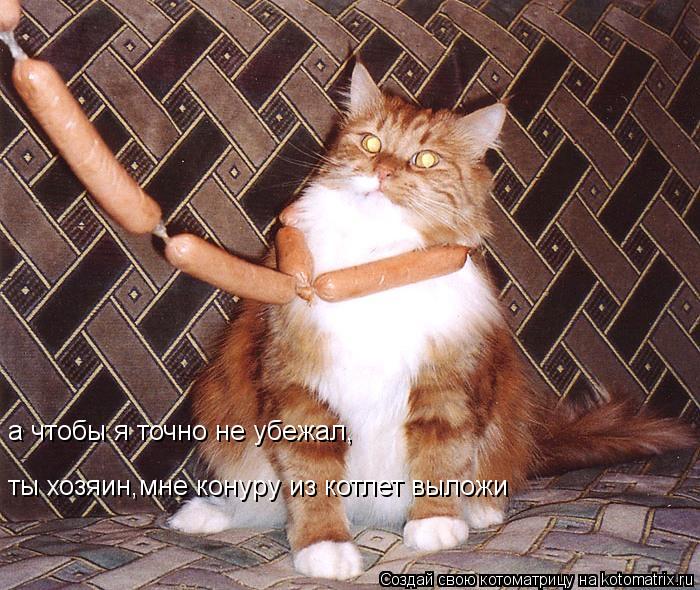 а чтобы я точно не убежал, ты хозяин,мне конуру из котлет выложи... Котоматрица: а чтобы я точно не убежал, ты хозяин,мне конуру из котлет выложи