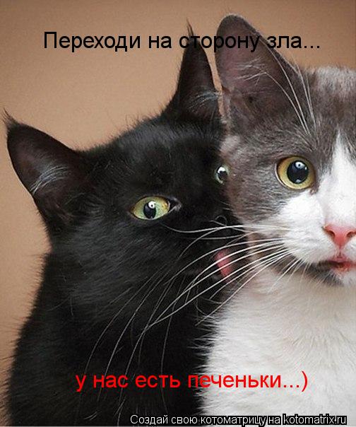 Переходи на сторону зла... у нас есть печеньки...)... Котоматрица: Переходи на сторону зла... у нас есть печеньки...)