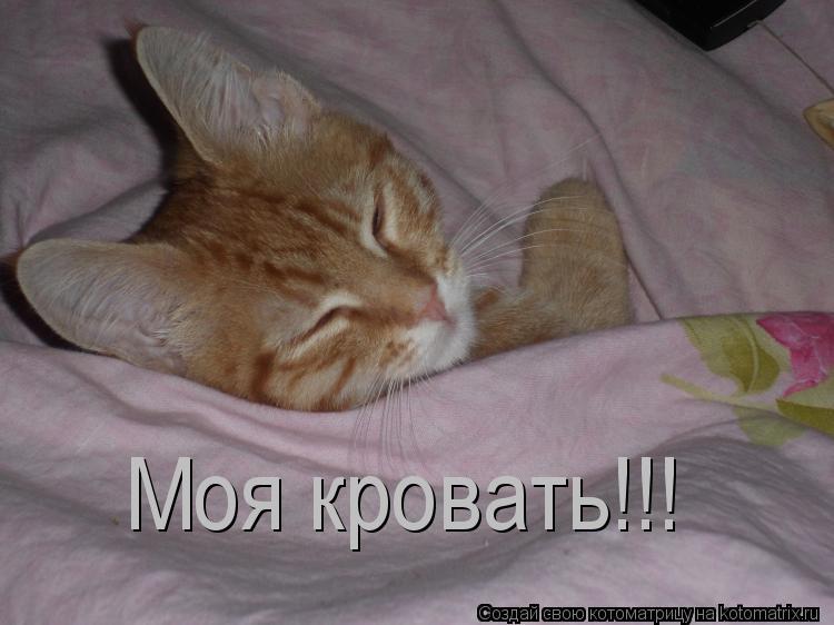Моя кровать!!!... Котоматрица: Моя кровать!!!