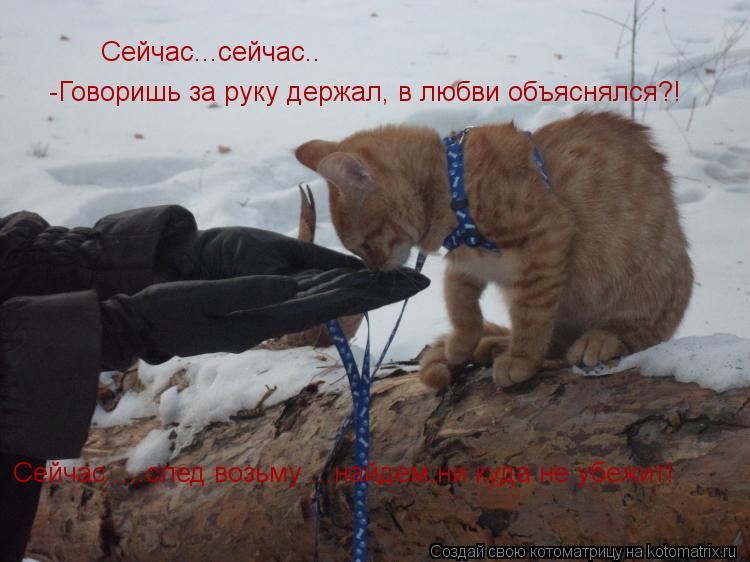 Сейчас...сейчас.. -Говоришь за руку держал, в любви объяснялся?! Сейчас ....след возьму ...найдем,ни ... Котоматрица: Сейчас...сейчас.. -Говоришь за руку держал, в любви объяснялся?! Сейчас ....след возьму ...найдем,ни куда не убежит!