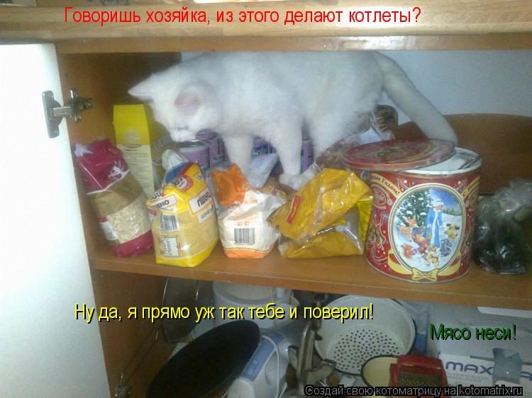 Говоришь хозяйка, из этого делают котлеты? Ну да, я прямо уж так тебе и поверил! Мясо неси!... Котоматрица: Говоришь хозяйка, из этого делают котлеты? Ну да, я прямо уж так тебе и поверил! Мясо неси!
