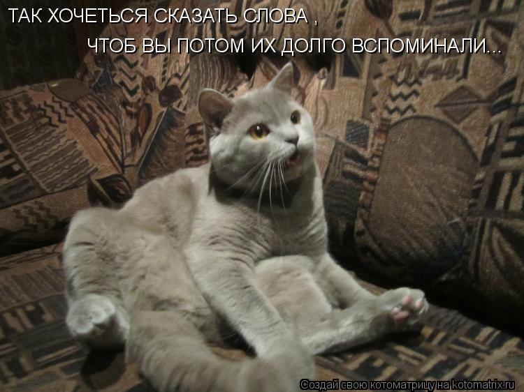 ТАК ХОЧЕТЬСЯ СКАЗАТЬ СЛОВА , ЧТОБ ВЫ ПОТОМ ИХ ДОЛГО ВСПОМИНАЛИ...... Котоматрица: ТАК ХОЧЕТЬСЯ СКАЗАТЬ СЛОВА , ЧТОБ ВЫ ПОТОМ ИХ ДОЛГО ВСПОМИНАЛИ...