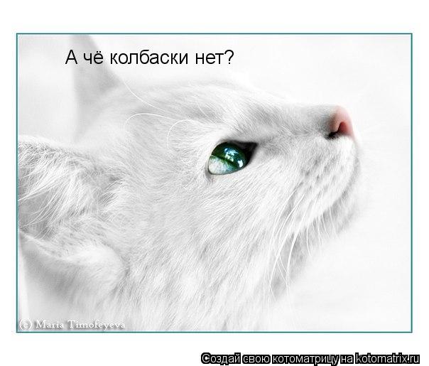 A чё колбаски нет?... Котоматрица: A чё колбаски нет?