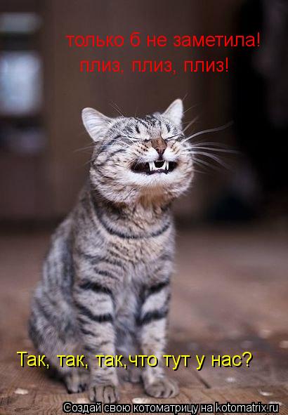 только б не заметила! плиз, плиз, плиз! Так, так, так,что тут у нас?... Котоматрица: только б не заметила! плиз, плиз, плиз! Так, так, так,что тут у нас?