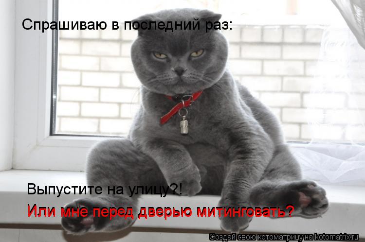 Спрашиваю в последний раз: Выпустите на улицу?! Или мне перед дверью митинговать? Или мне перед дверь... Котоматрица: Спрашиваю в последний раз: Выпустите на улицу?! Или мне перед дверью митинговать? Или мне перед дверью митинговать? Или мне перед дверью мит