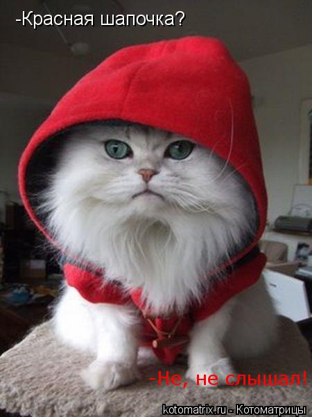 -Красная шапочка? -Не, не слышал!... Котоматрица: -Красная шапочка? -Не, не слышал!