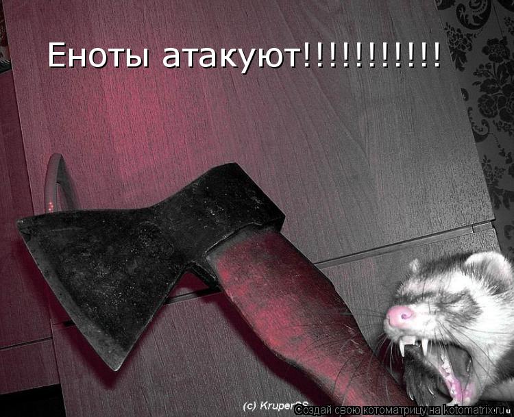 Еноты атакуют!!!!!!!!!!!... Котоматрица: Еноты атакуют!!!!!!!!!!!