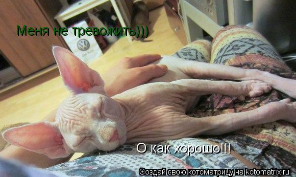 О как хорошо!!! Меня не тревожить)))... Котоматрица: О как хорошо!!! Меня не тревожить)))
