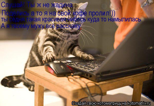 Поделись а то я на свой кофе пролил!)) Слушай! Ты ж не жадина. ты сёдня такая красивая нибось куда ... Котоматрица: Поделись а то я на свой кофе пролил!)) Слушай! Ты ж не жадина. ты сёдня такая красивая нибось куда то намылилась А я твоему мужу всё расскажу