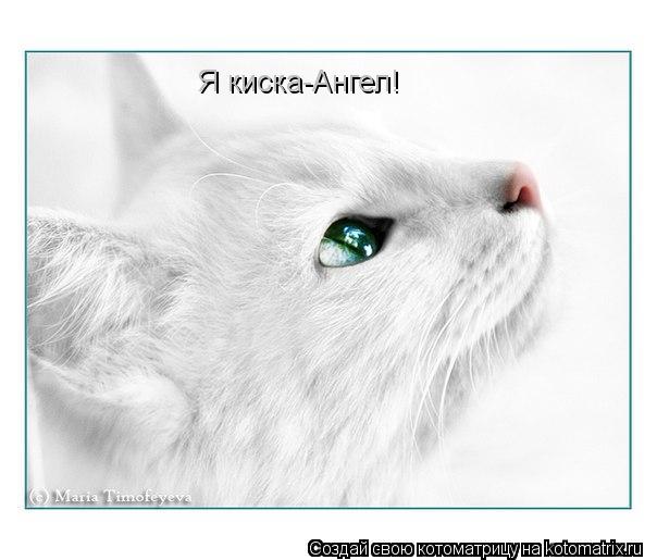 Я киска-Ангел!... Котоматрица: Я киска-Ангел!