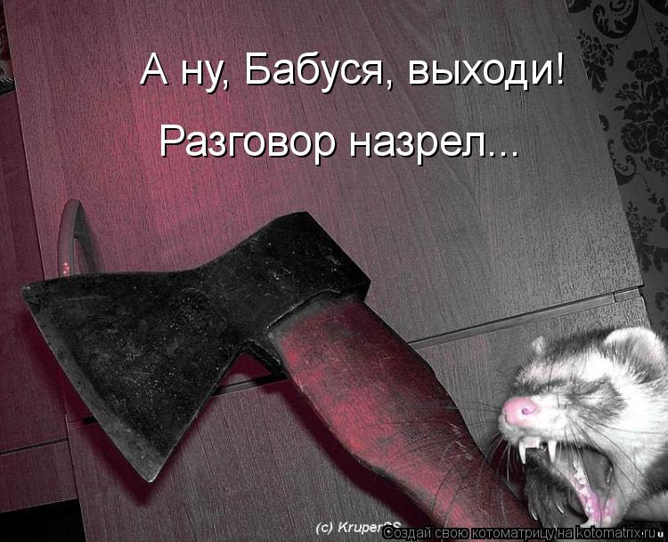 А ну, Бабуся, выходи! Разговор назрел...... Котоматрица: А ну, Бабуся, выходи! Разговор назрел...