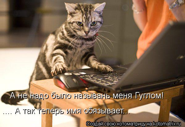 А не надо было назывань меня Гуглом! .... А так теперь имя обязывает...... Котоматрица: А не надо было назывань меня Гуглом! .... А так теперь имя обязывает...