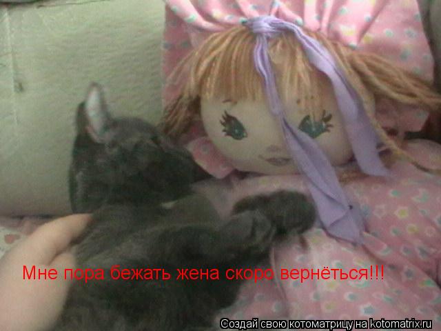 Мне пора бежать жена скоро вернёться!!!... Котоматрица: Мне пора бежать жена скоро вернёться!!!