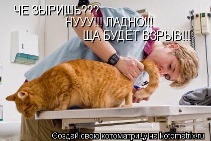 ЧЕ ЗЫРИШЬ??? НУУУ!!! ЛАДНО!!! ЩА БУДЕТ ВЗРЫВ!!!... Котоматрица: ЧЕ ЗЫРИШЬ??? НУУУ!!! ЛАДНО!!! ЩА БУДЕТ ВЗРЫВ!!!