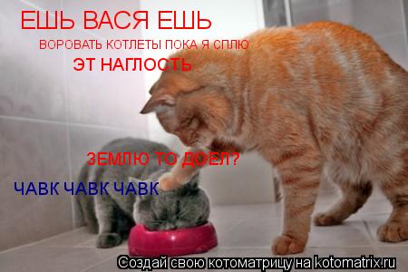 ЕШЬ ВАСЯ ЕШЬ ВОРОВАТЬ КОТЛЕТЫ ПОКА Я СПЛЮ ЭТ НАГЛОСТЬ ЧАВК ЧАВК ЧАВК ЗЕМЛЮ ТО ДОЕЛ?... Котоматрица: ЕШЬ ВАСЯ ЕШЬ ВОРОВАТЬ КОТЛЕТЫ ПОКА Я СПЛЮ ЭТ НАГЛОСТЬ ЧАВК ЧАВК ЧАВК ЗЕМЛЮ ТО ДОЕЛ?