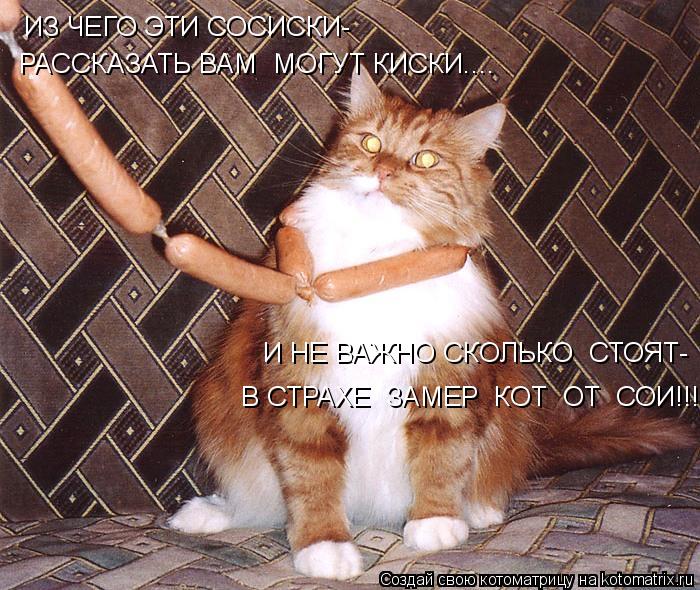 ИЗ ЧЕГО ЭТИ СОСИСКИ- РАССКАЗАТЬ ВАМ МОГУТ КИСКИ.... И НЕ ВАЖНО СКОЛЬКО СТОЯТ- В СТРАХЕ ЗАМЕР КОТ ... Котоматрица: ИЗ ЧЕГО ЭТИ СОСИСКИ- РАССКАЗАТЬ ВАМ МОГУТ КИСКИ.... И НЕ ВАЖНО СКОЛЬКО СТОЯТ- В СТРАХЕ ЗАМЕР КОТ ОТ СОИ!!!