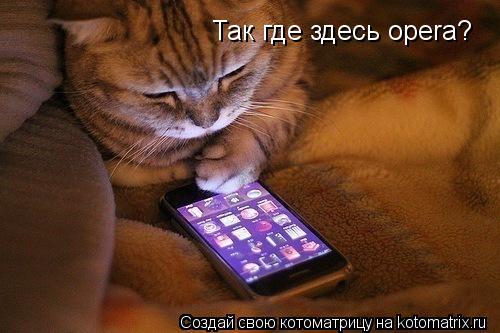 Так где здесь opera?... Котоматрица: Так где здесь opera?