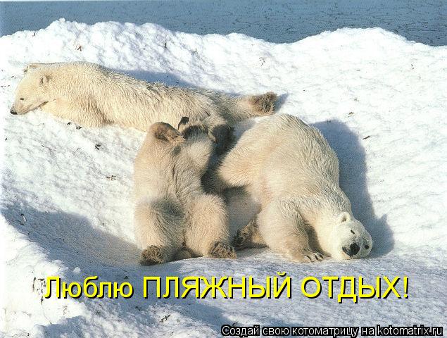 Люблю ПЛЯЖНЫЙ ОТДЫХ!... Котоматрица: Люблю ПЛЯЖНЫЙ ОТДЫХ!
