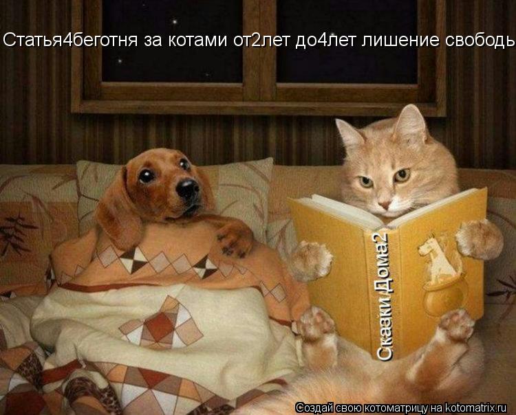 Статья4беготня за котами от2лет до4лет лишение свободы... Котоматрица: Статья4беготня за котами от2лет до4лет лишение свободы