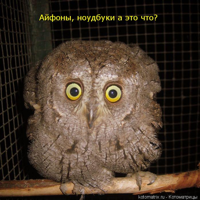 Айфоны, ноудбуки а это что?... Котоматрица: Айфоны, ноудбуки а это что?