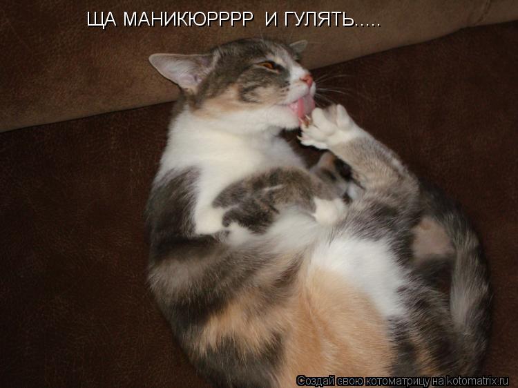 ЩА МАНИКЮРРРР И ГУЛЯТЬ........ Котоматрица: ЩА МАНИКЮРРРР И ГУЛЯТЬ.....