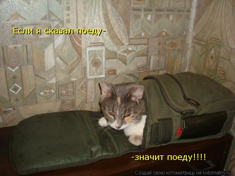 Если я сказал поеду- -значит поеду!!!!... Котоматрица: Если я сказал поеду- -значит поеду!!!!