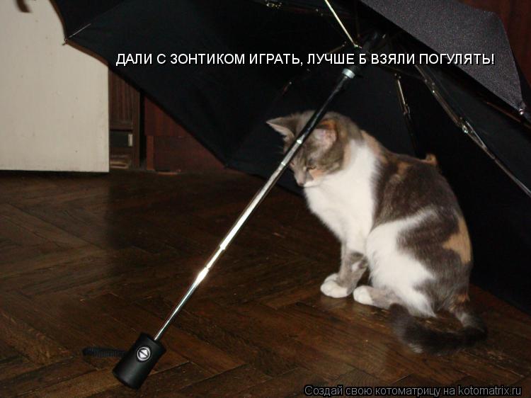 ДАЛИ С ЗОНТИКОМ ИГРАТЬ, ЛУЧШЕ Б ВЗЯЛИ ПОГУЛЯТЬ!... Котоматрица: ДАЛИ С ЗОНТИКОМ ИГРАТЬ, ЛУЧШЕ Б ВЗЯЛИ ПОГУЛЯТЬ!
