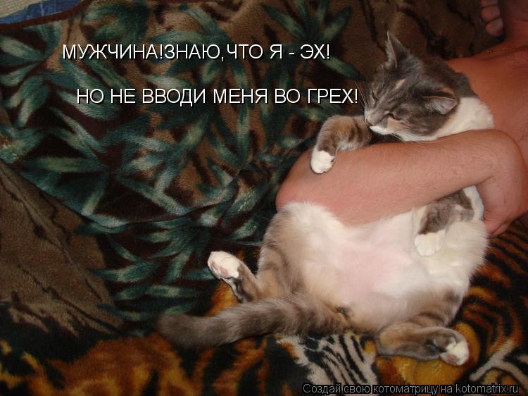 МУЖЧИНА!ЗНАЮ,ЧТО Я - ЭХ! НО НЕ ВВОДИ МЕНЯ ВО ГРЕХ!... Котоматрица: МУЖЧИНА!ЗНАЮ,ЧТО Я - ЭХ! НО НЕ ВВОДИ МЕНЯ ВО ГРЕХ!
